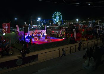 quarteto 12